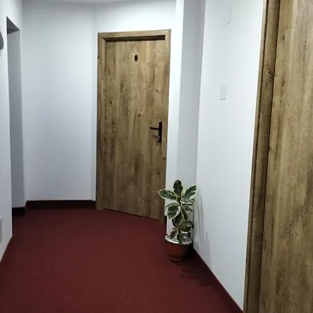 Stirbu * Borşa