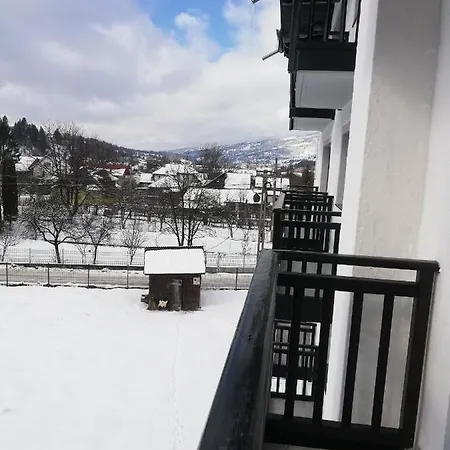 Pensjonat Stirbu Borşa